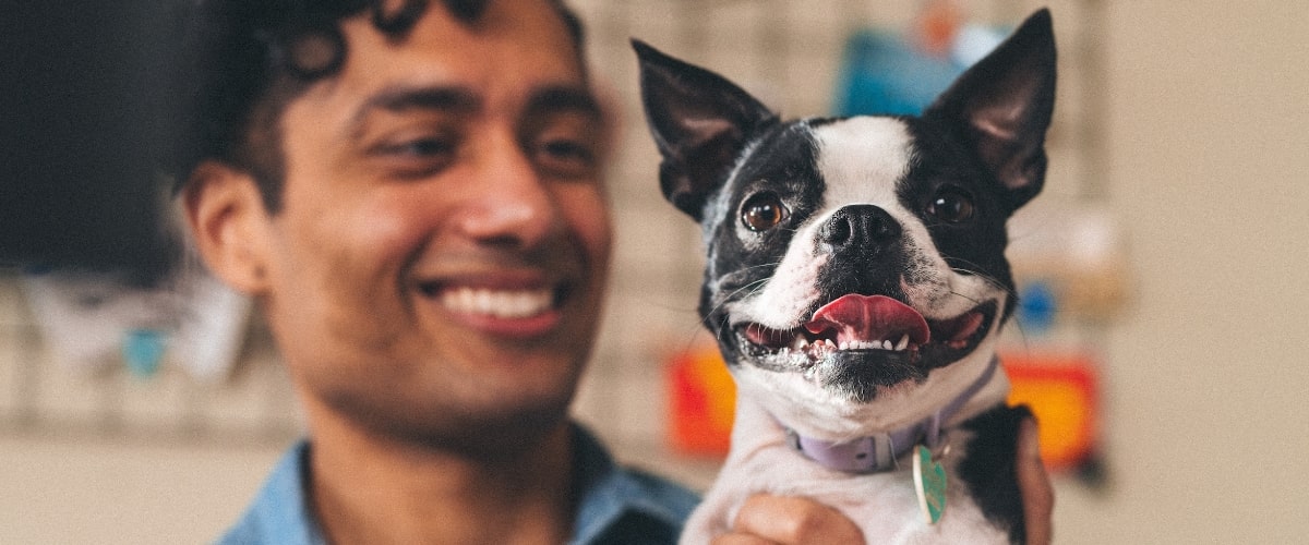 hotels waar honden zijn toegestaan