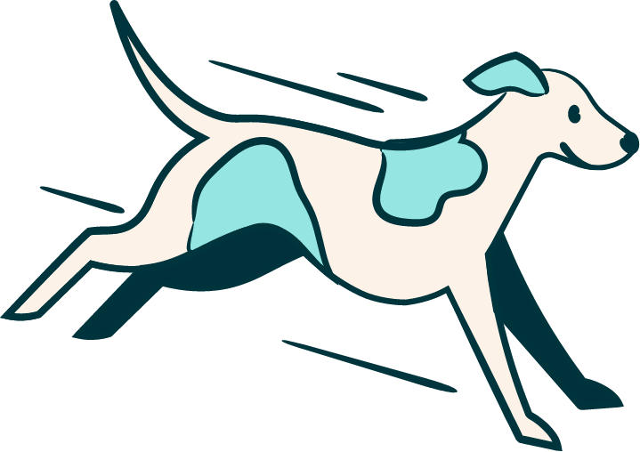 Dog 1
