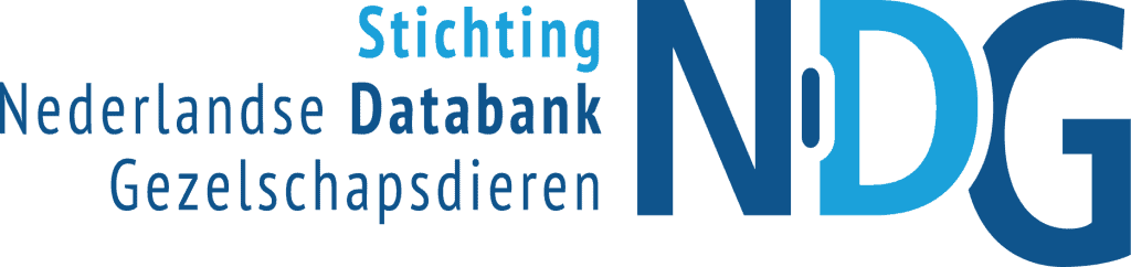 logo NDG Website