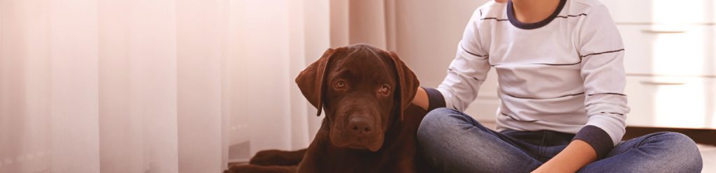 Braken of diarree bij de hond