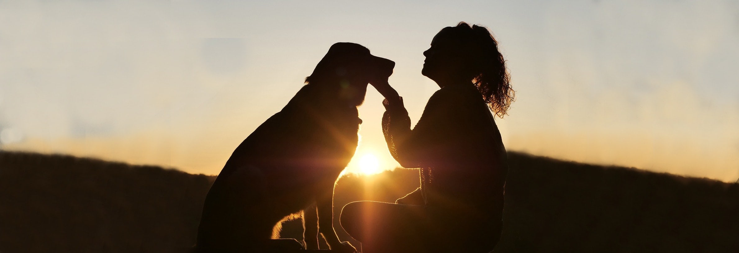 Hond komt tegen je aan liggen