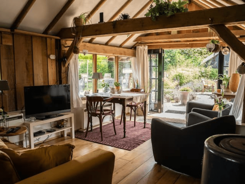 diervriendelijke airbnb in overijssel